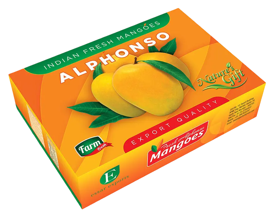 alphonso alphonso